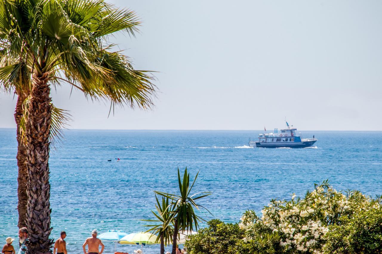 Espanatour Vega Baja Torrevieja Eksteriør bilde
